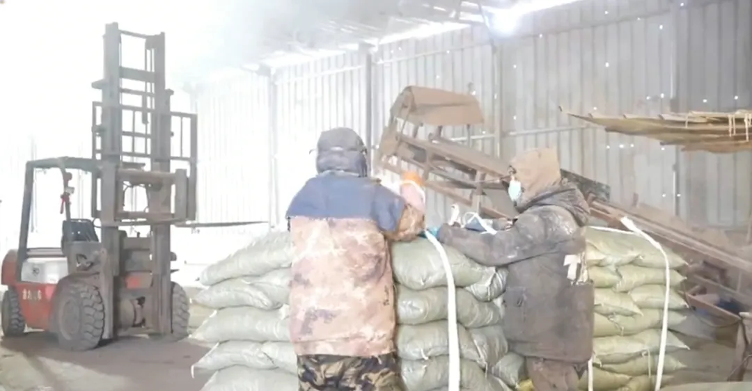 珲春市英安镇：项目为王 实干为先 以产业振兴绘就兴边富民新图景