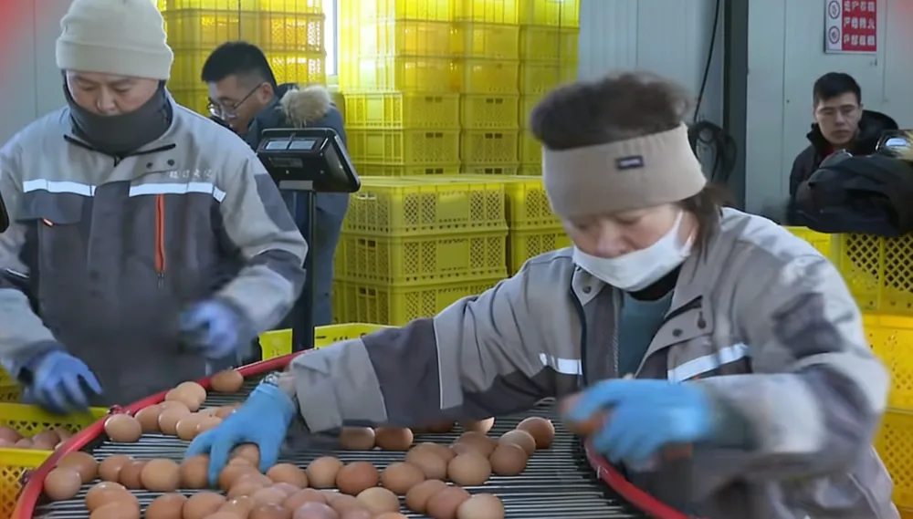 图们市深耕“土特产”  做好特色农业发展文章