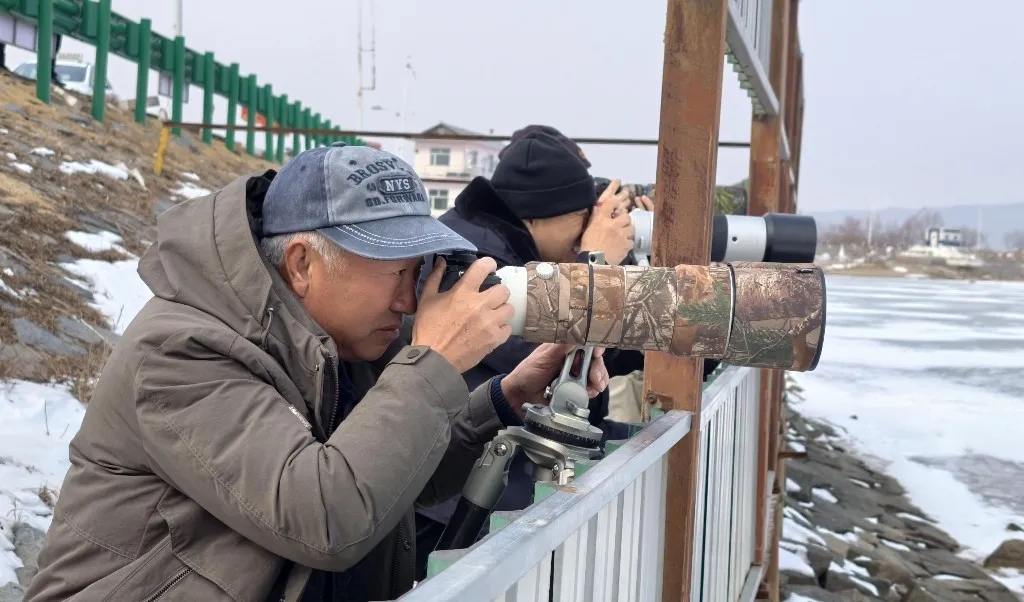 高质量发展新答卷|珲春市：“观鸟”点亮乡村经济新业态