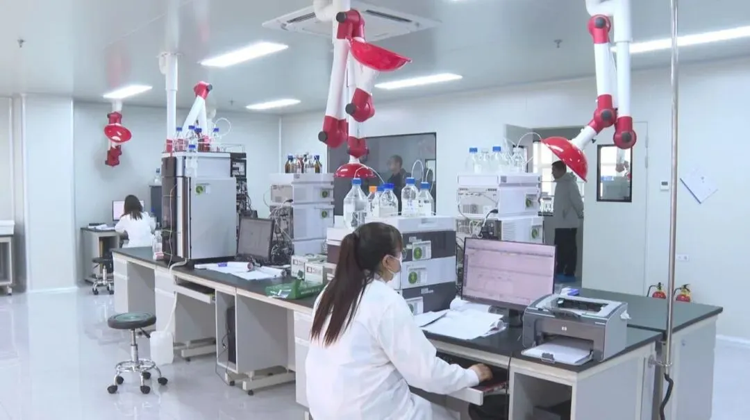 项目赋能产业升级 延边州多点发力激活高质量发展新动能