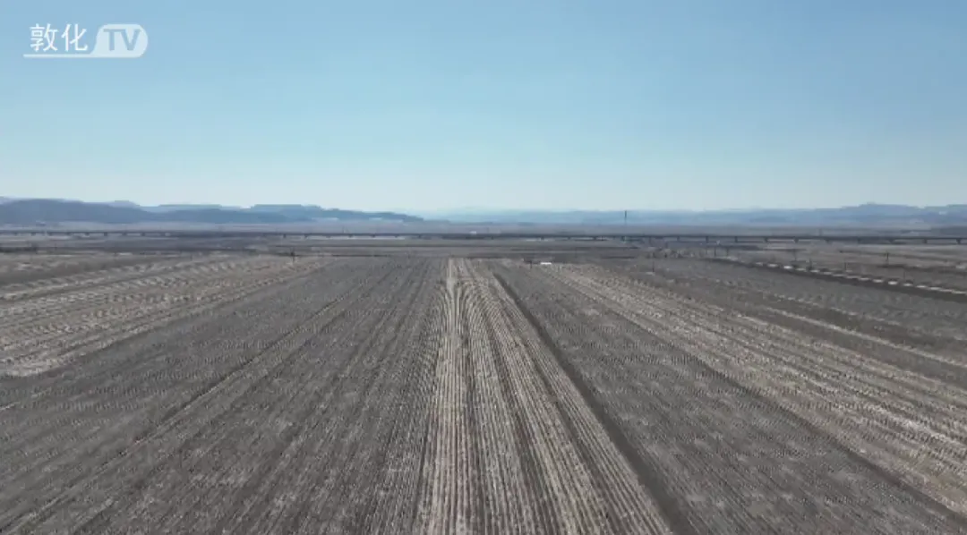 敦化：抢前抓早备春耕 筑牢粮仓促振兴