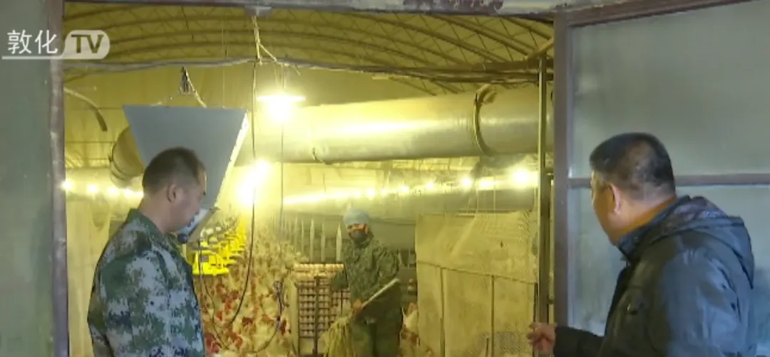 敦化市：完善肉雞產(chǎn)業(yè)鏈條 推進鄉(xiāng)村產(chǎn)業(yè)振興
