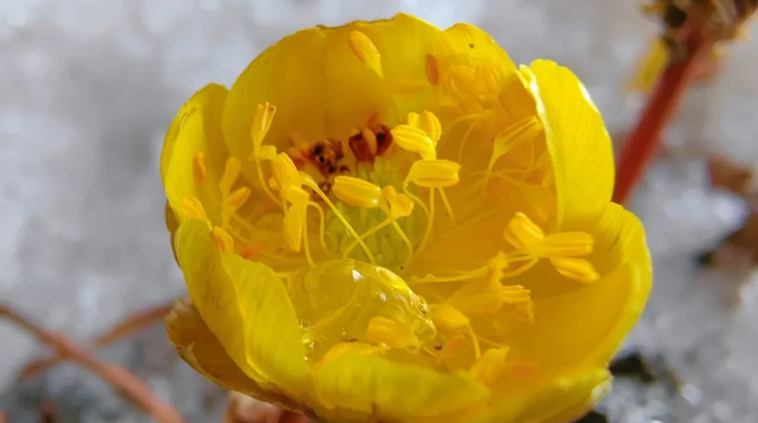 以調(diào)色盤為序，赴一場敦化的色彩之約