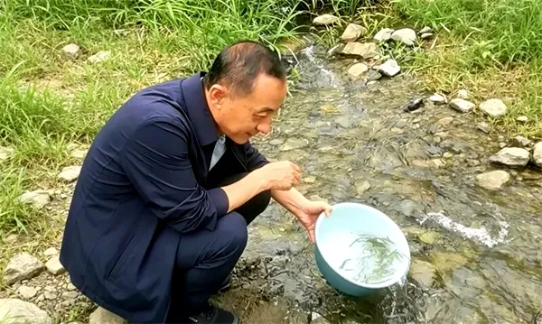 延边州30万尾大麻哈鱼苗跃入密江河