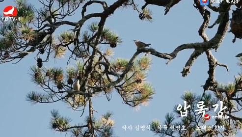 [노래] 압록강-작사 김영식 작곡 렴영호 노래 인향자