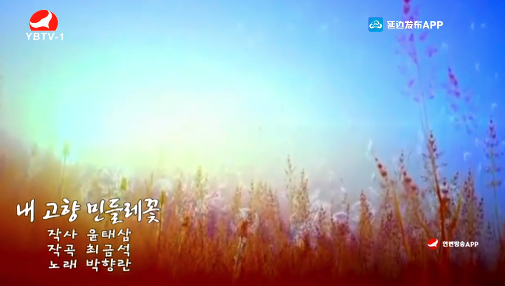 [노래] 내 고향 민들레꽃-박향란