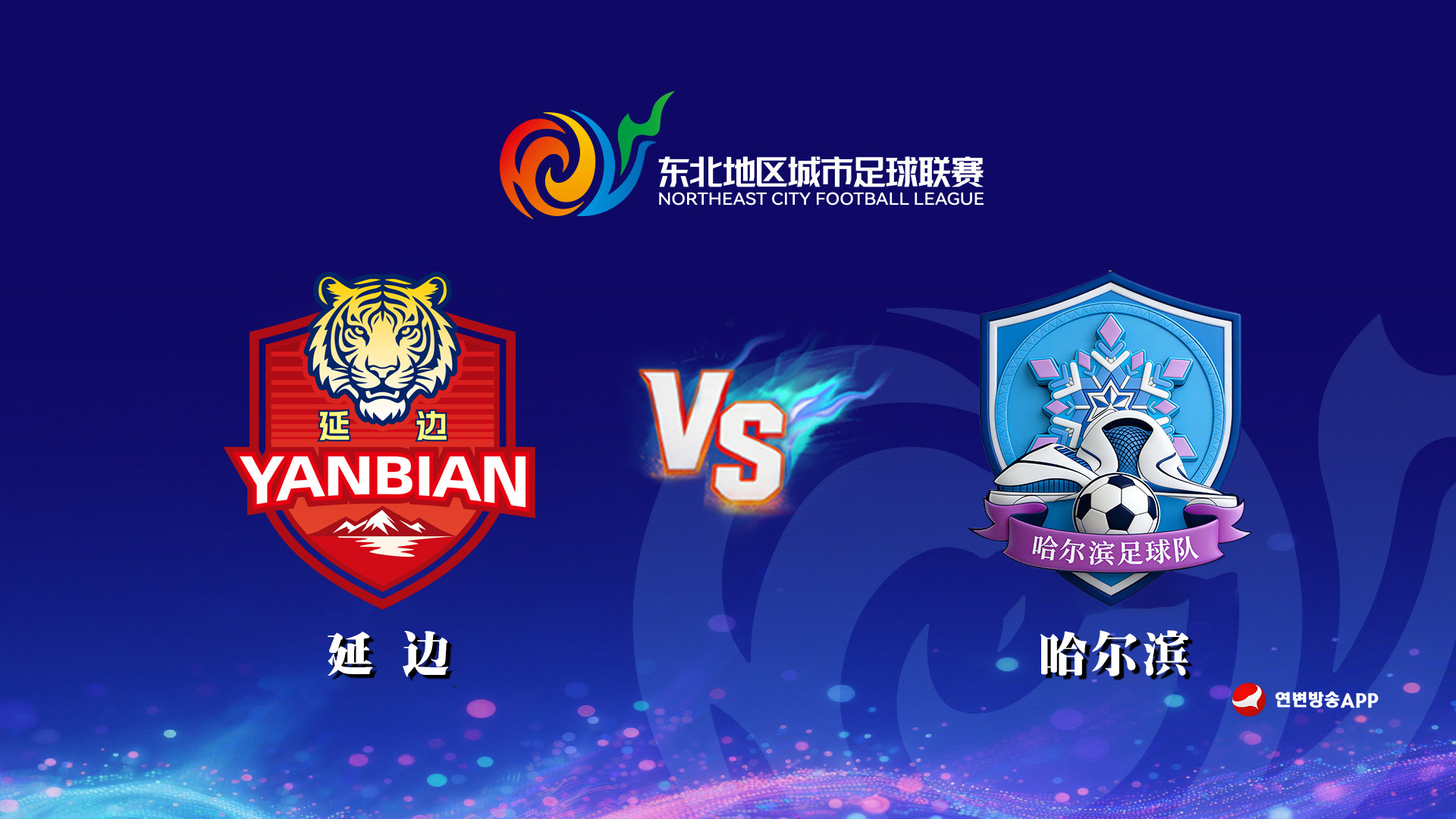 【생중계】2026년 동북지역도시축구리그(연변팀 VS 할빈팀)