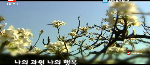 [노래] 나의 과원 나의 행복-한선녀