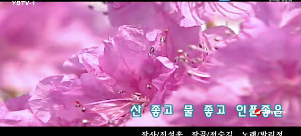  [노래] 산 좋고 물 좋고 인품좋은 - 박리정