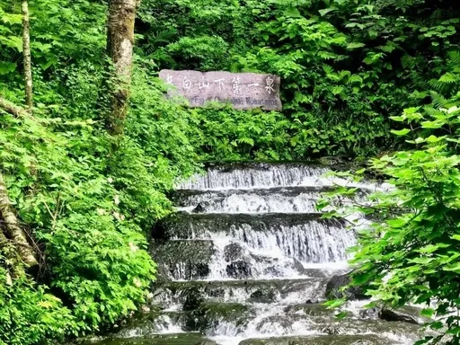 央媒推荐！延边暑假旅游好去处，林海边城、民俗秘境一次性收好