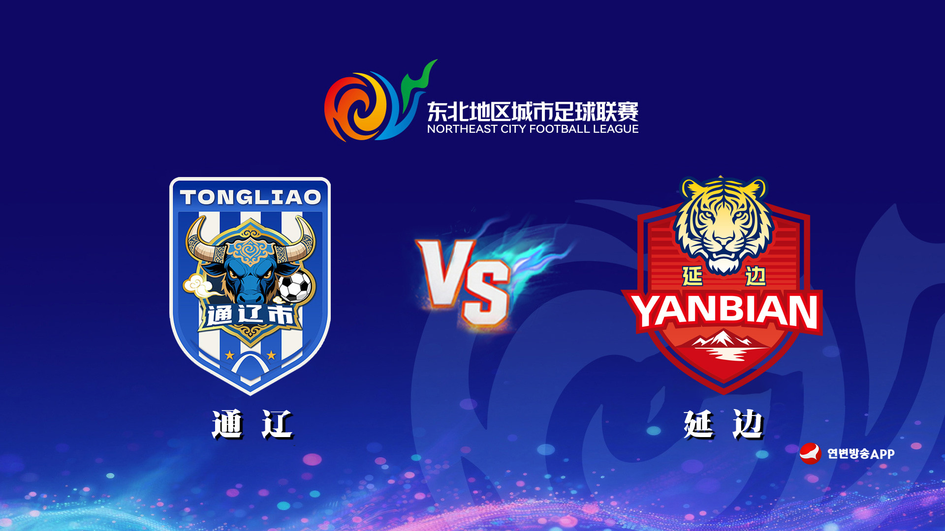 [생중계] 2026년 동북지역도시축구리그(통료팀 VS 연변팀)